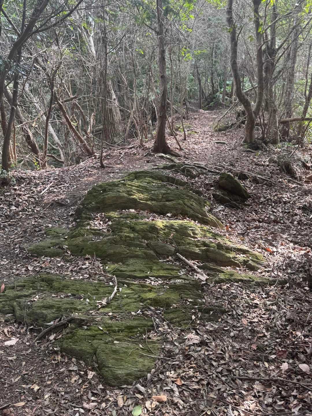 岩の上は、滑ります