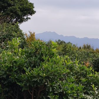 英彦山の南岳中岳北岳きれいに見えました。