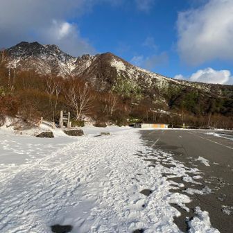 全然、積もってない