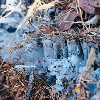 冬山はこうでないと