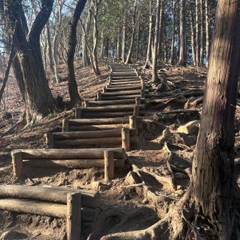 こうなったら登りも走っていました