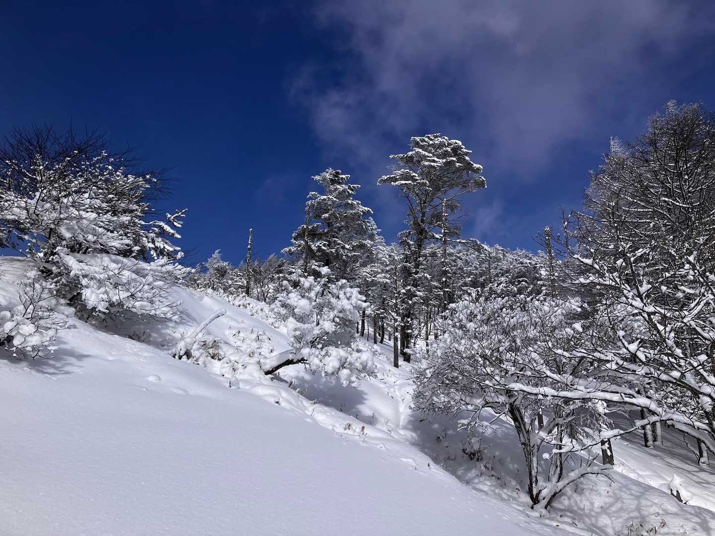 太陽の光が注ぎ込み白が輝きます。