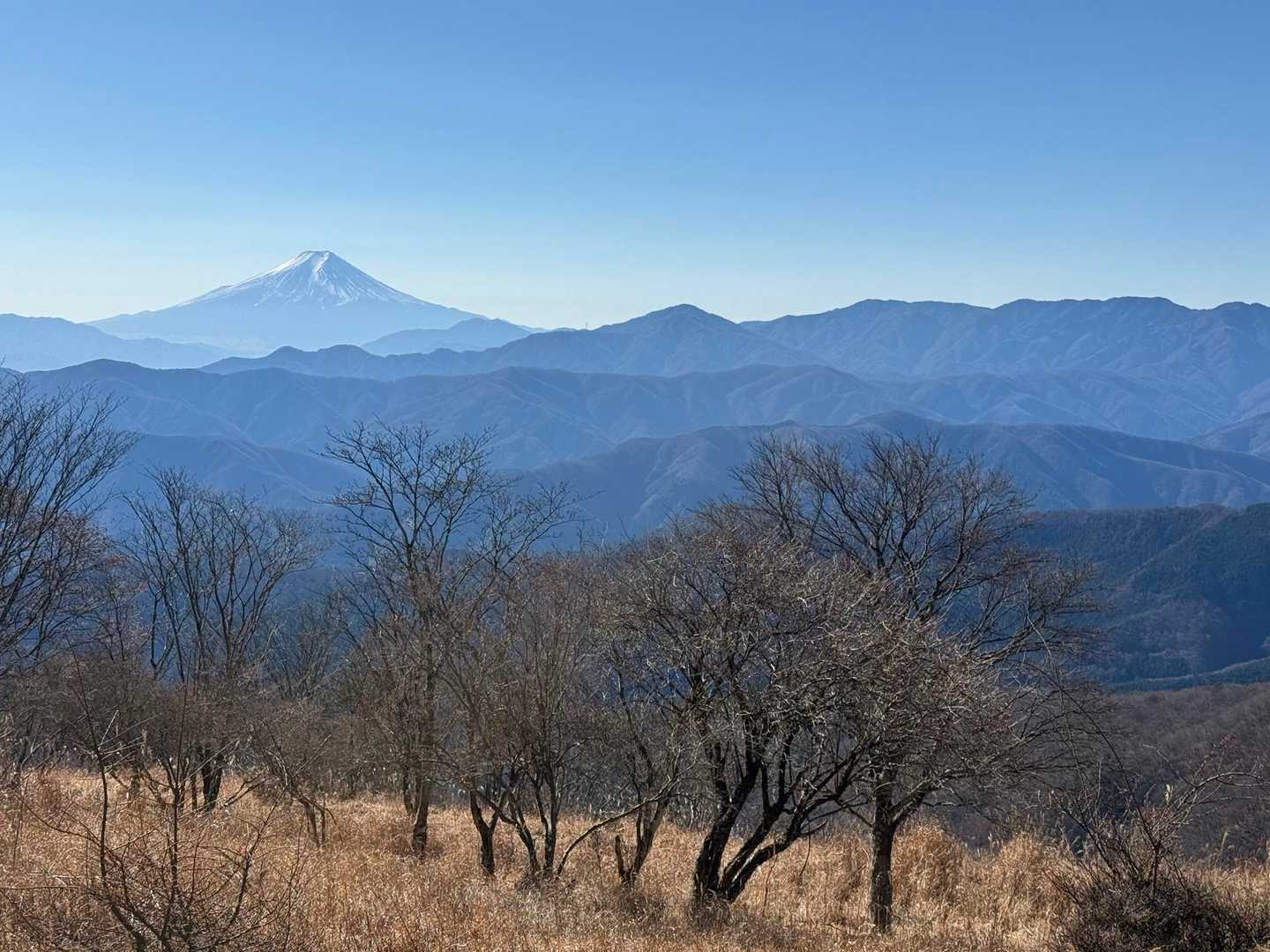 この辺りから富士山が綺麗に見える🙌