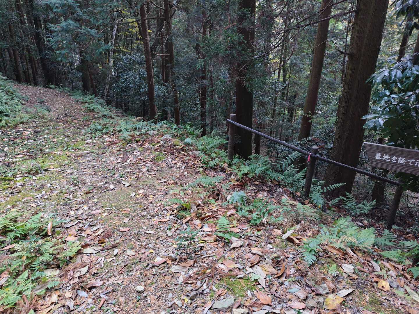 ここは右へ