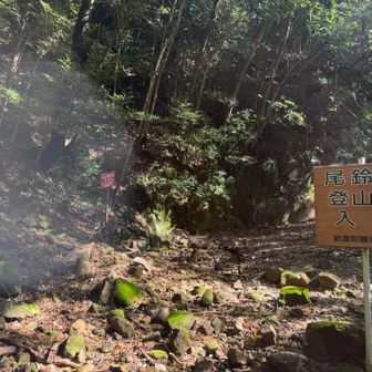 とりあえず下山