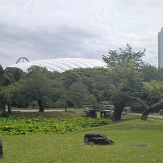 奥に東京ドーム
小蘆山　山頂不明
標高12m