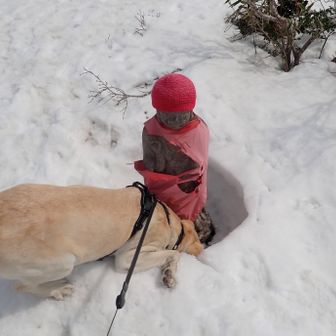 🐶あいさつします
👦地蔵にまで股間ドリルするな💢