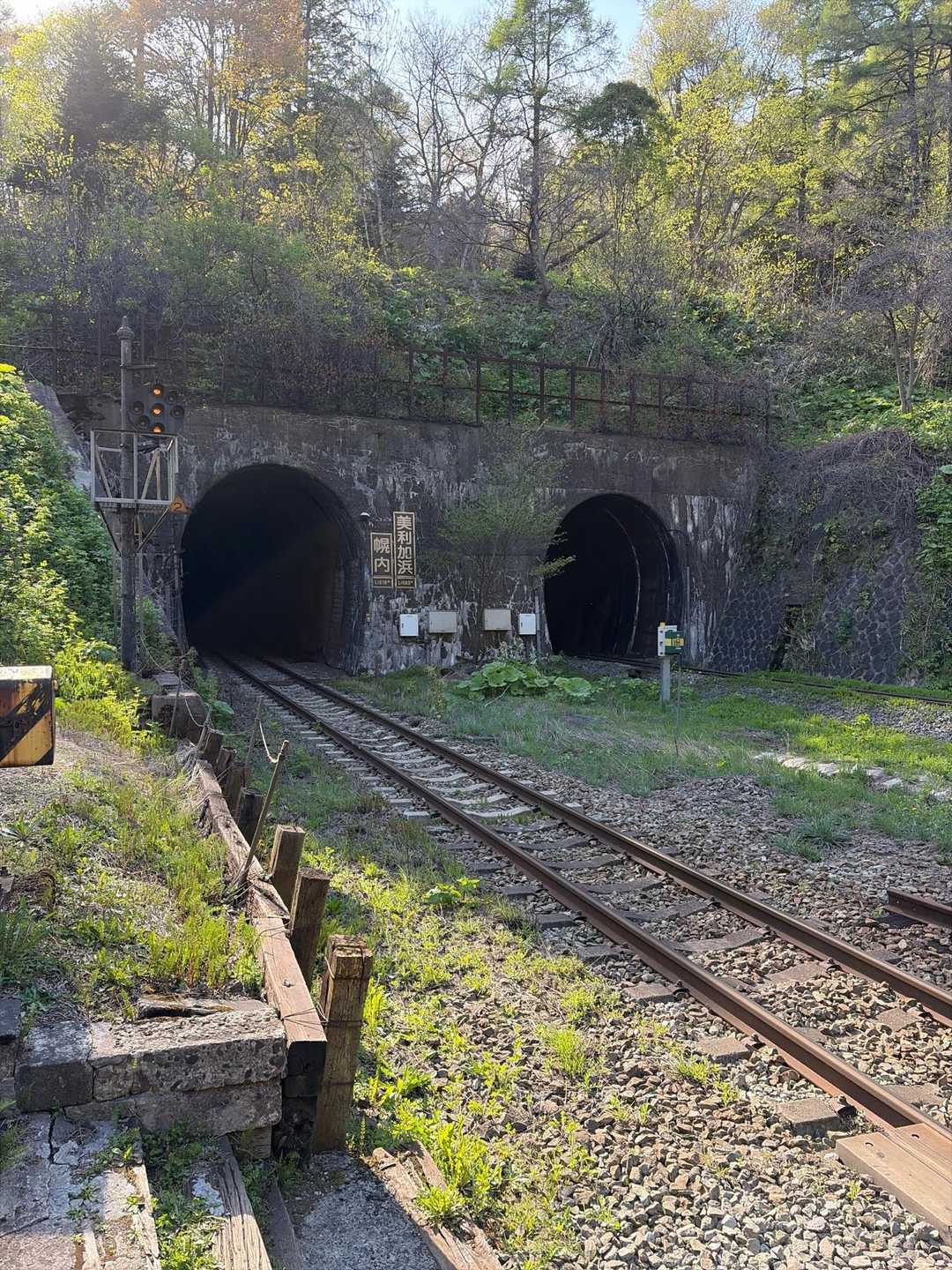 礼文華山道と秘境「小幌駅」-2026-05-06 / 原っぱの登山データ | YAMAP / ヤマップ