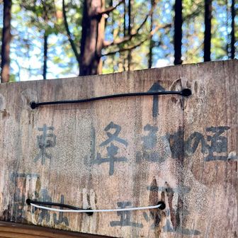 東峰山頂！
ここでダイトレと合流