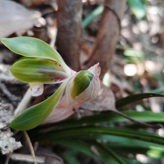 ご新規❇️👀も有り🤗