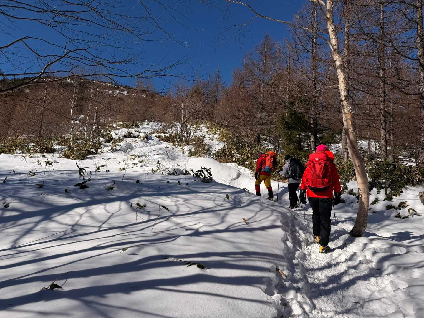 湯ノ丸山で雪山講習 / JTOMさんの湯ノ丸山・角間山・鍋蓋山の活動データ | YAMAP / ヤマップ