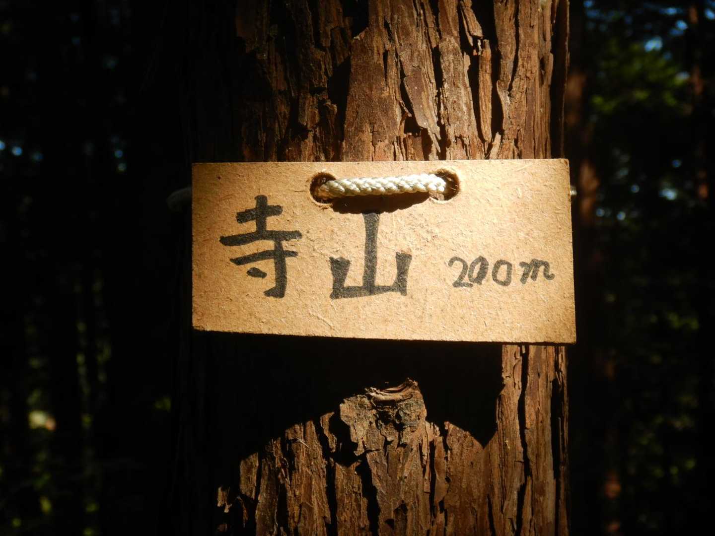 寺山経由で！