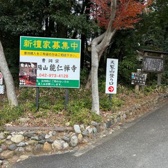 ここから登山道