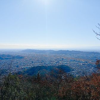 正面の八王子丘陵
数日前には熊騒動🐻
こんな所まで😳