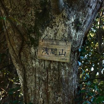 山頂標ないね？と戻って見て発見。
30mくらい戻った小さい祠があった所が山頂でした。