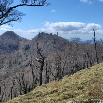 北岳の手前から