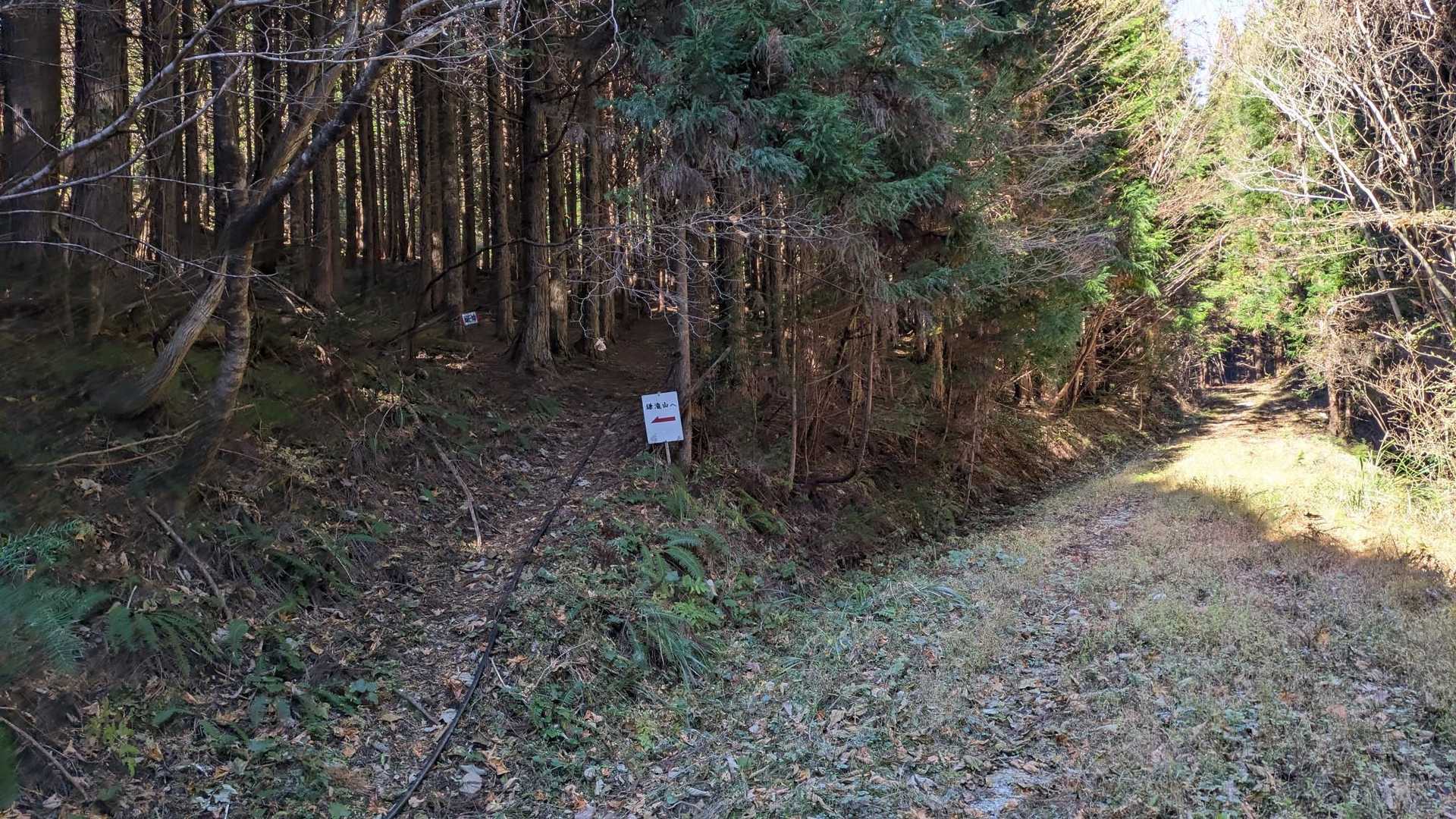 高知のどっかの山でこの参勤交代に使ってた道でこんな感じで入る山があった🤔なんだっけ?😂と気になり調べたら国見山と杖ｹ森でした、スッキリ😙