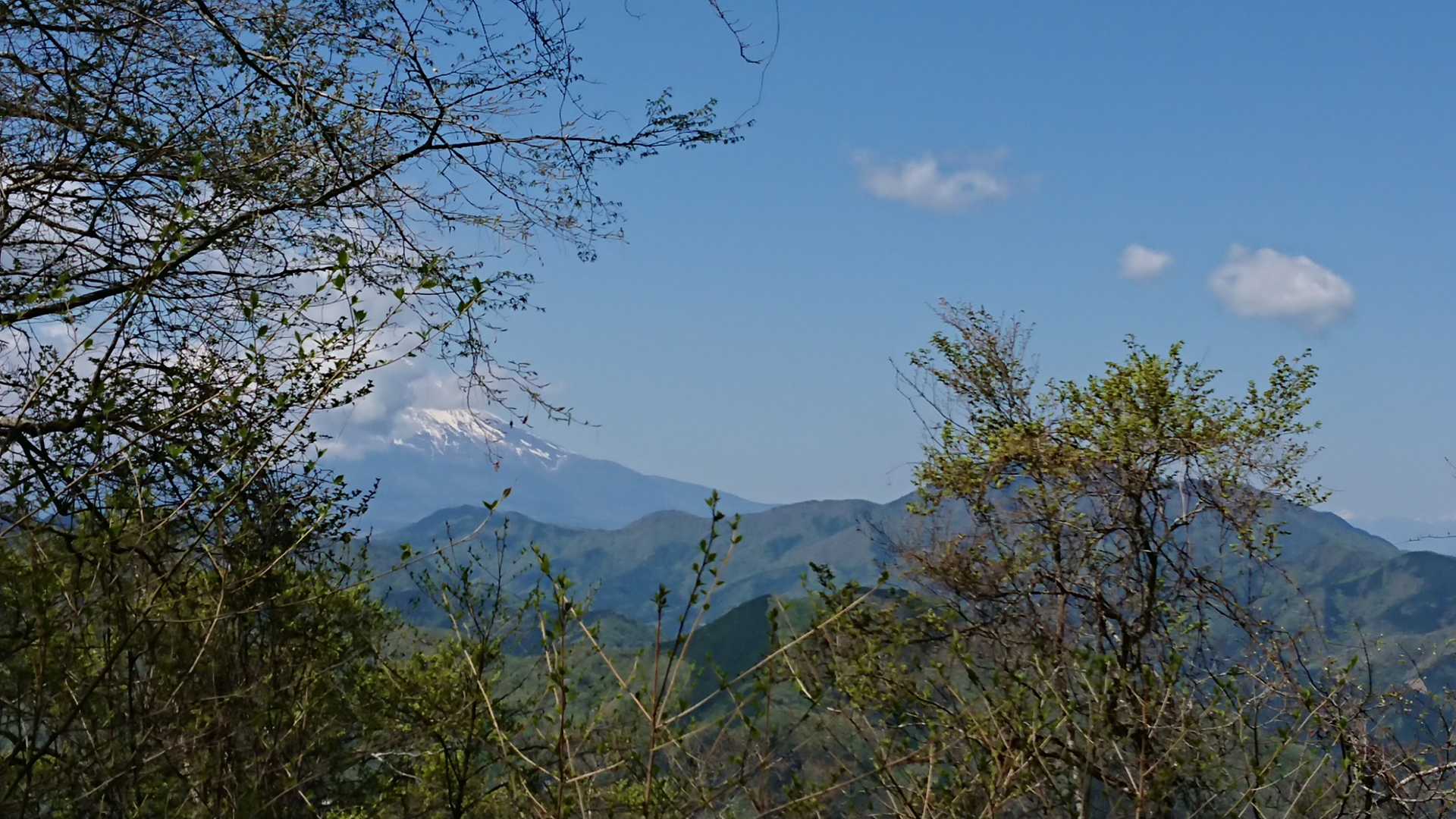 加入道山-大室山 往復コースの写真
