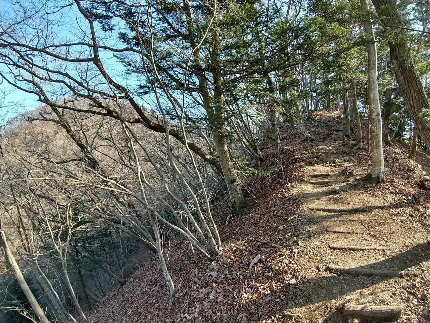 仏果山に迫ってきた。