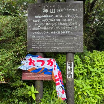おつかれ山てぬぐい2026