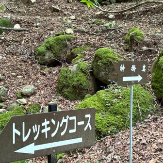 今日は神掛岩には行きません。