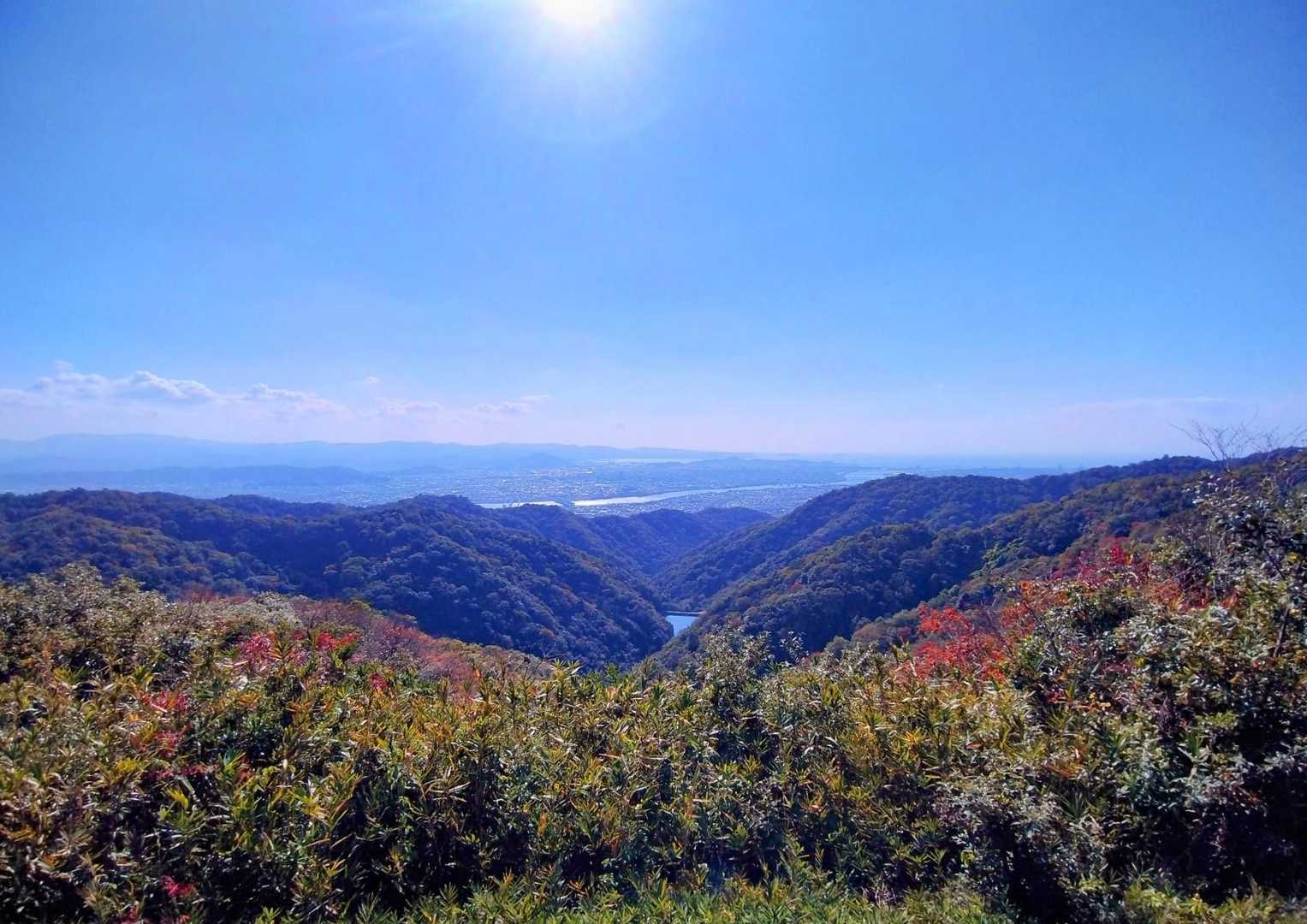 小春日和の大池展望