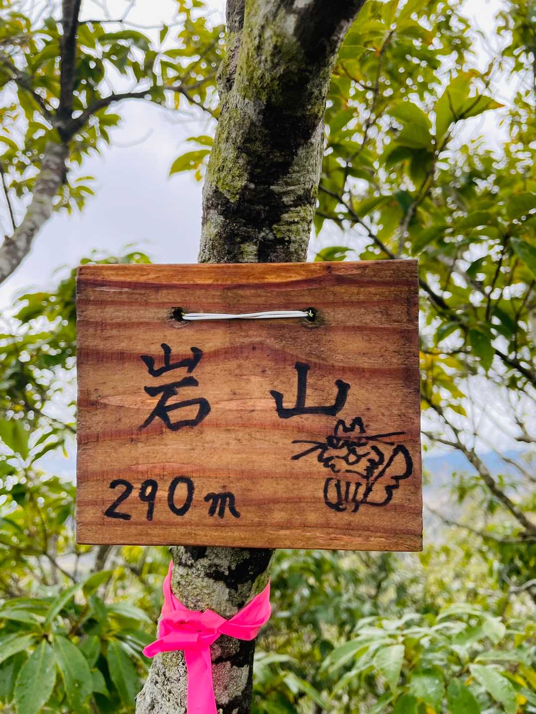 岩山登頂⛰
楽勝っす、

このイラスト
沢山見ましたね