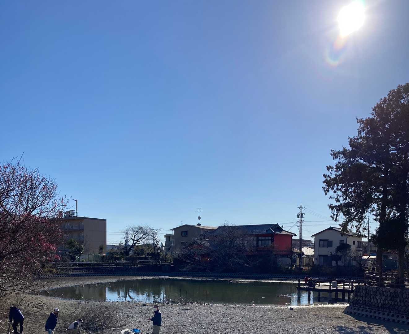大学近くの池、はじめて見ました✨✨✨

