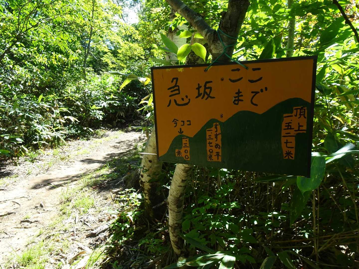 ヤマップ平・天蓋山 周回コースの写真