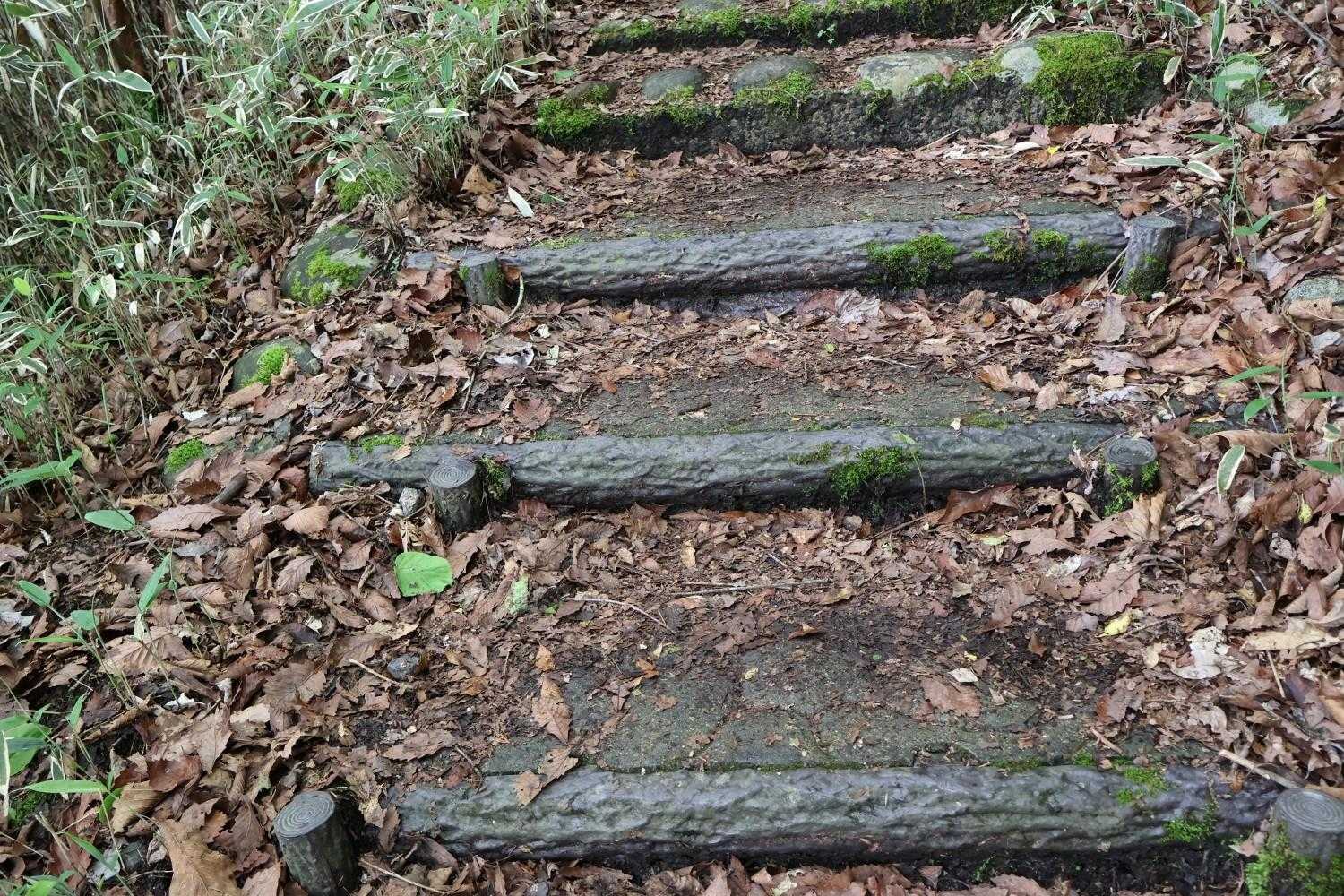 もう…🫣
階段しか見えない🫣