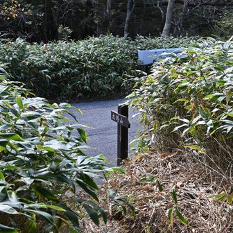山王帽子山への登り返しには涙が出たが、終わってしまえばすぐ楽しい思い出になるのが登山の良いところ