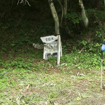 文珠谷登山口まで降りてきた💦