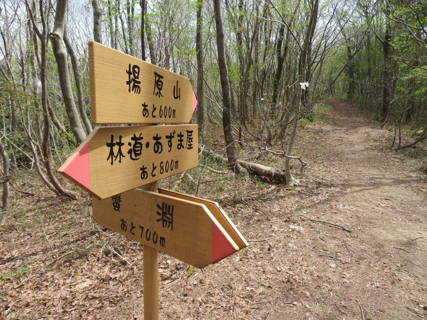揚原山に向かいます。このあと600mが長い💦
