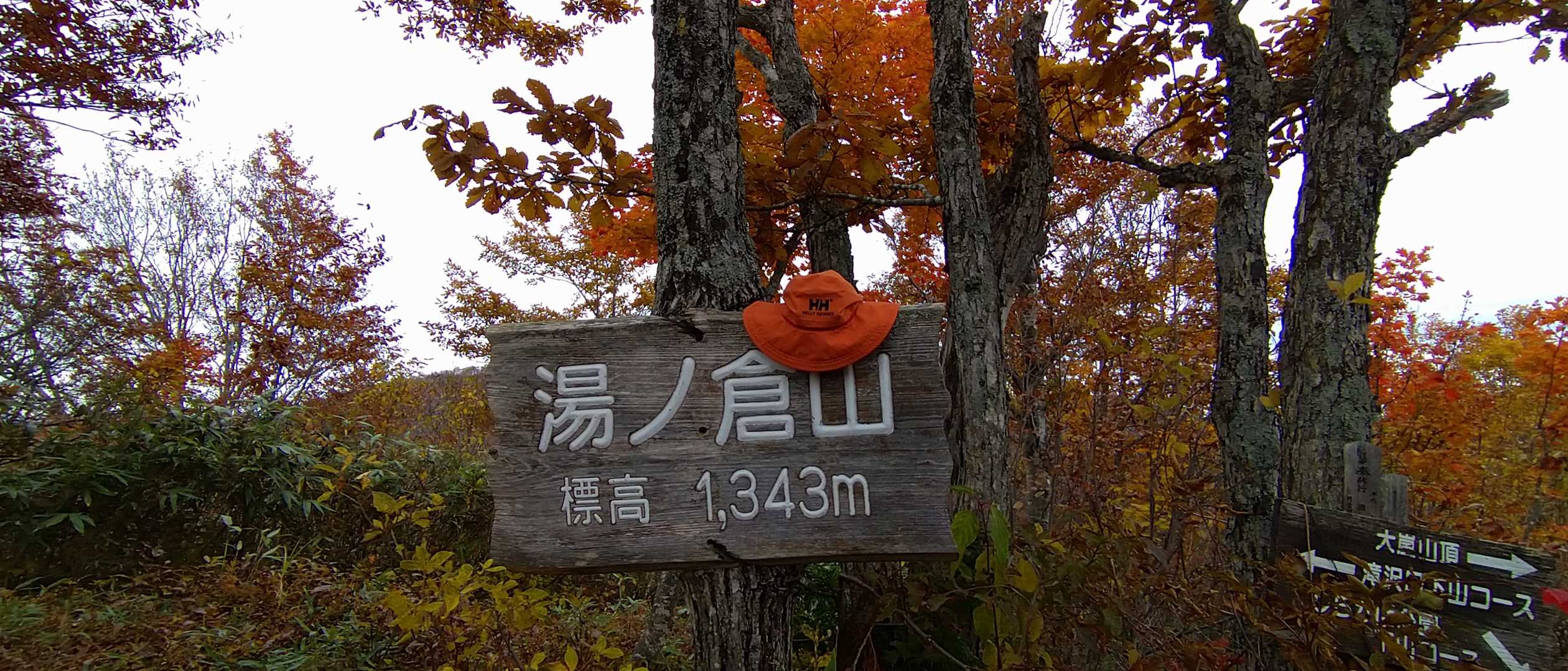 湯ノ倉山の山頂到着