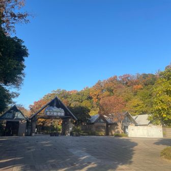 能見堂緑地を抜けると金沢動物園の中を通っていきます