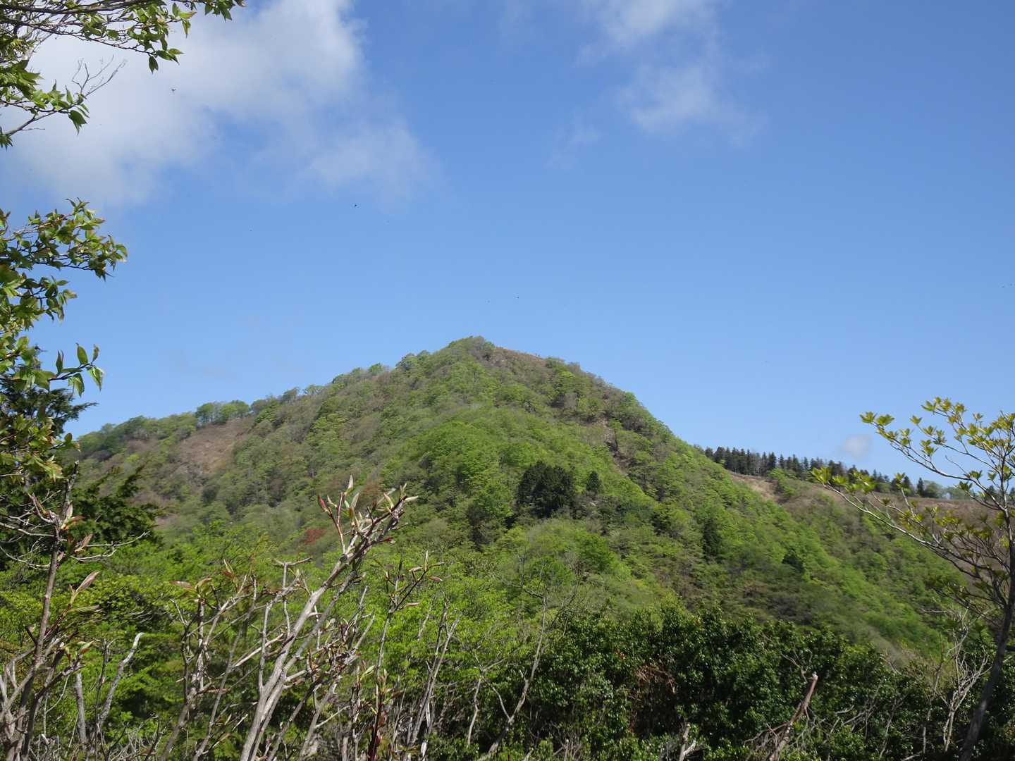 偽り小津権現山、
騙されない様に、、。