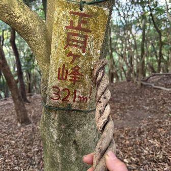 正月ヶ峰🎍
少し早いですが明けましておめでとう御座います(っ’-‘)╮=͟͟͞͞（年賀状）*.ﾟ