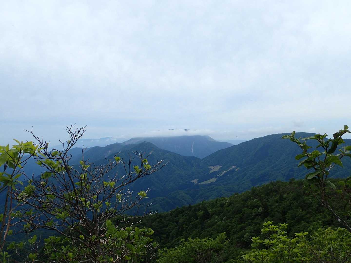 伊吹山は隠れてしまいました😂国見岳と虎子山