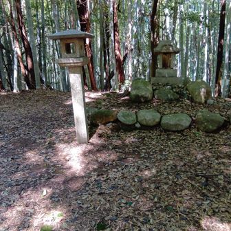 山らしくない愛宕山山頂　山名板不明