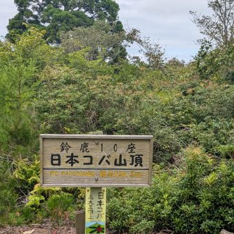 登頂‼️
眺望なし😅