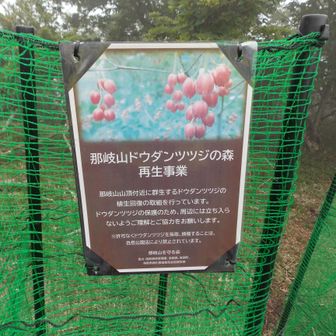 守りたいね