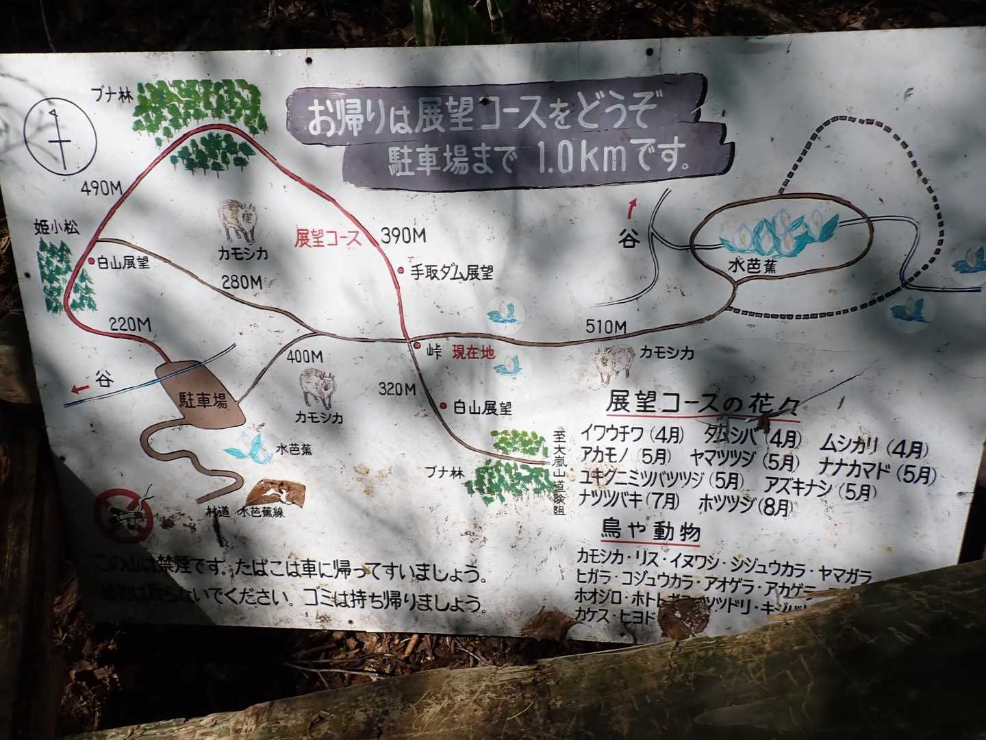 分岐点の看板を見て、後１キロ歩くことにしました。