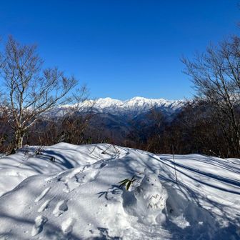 白山うほーー😯