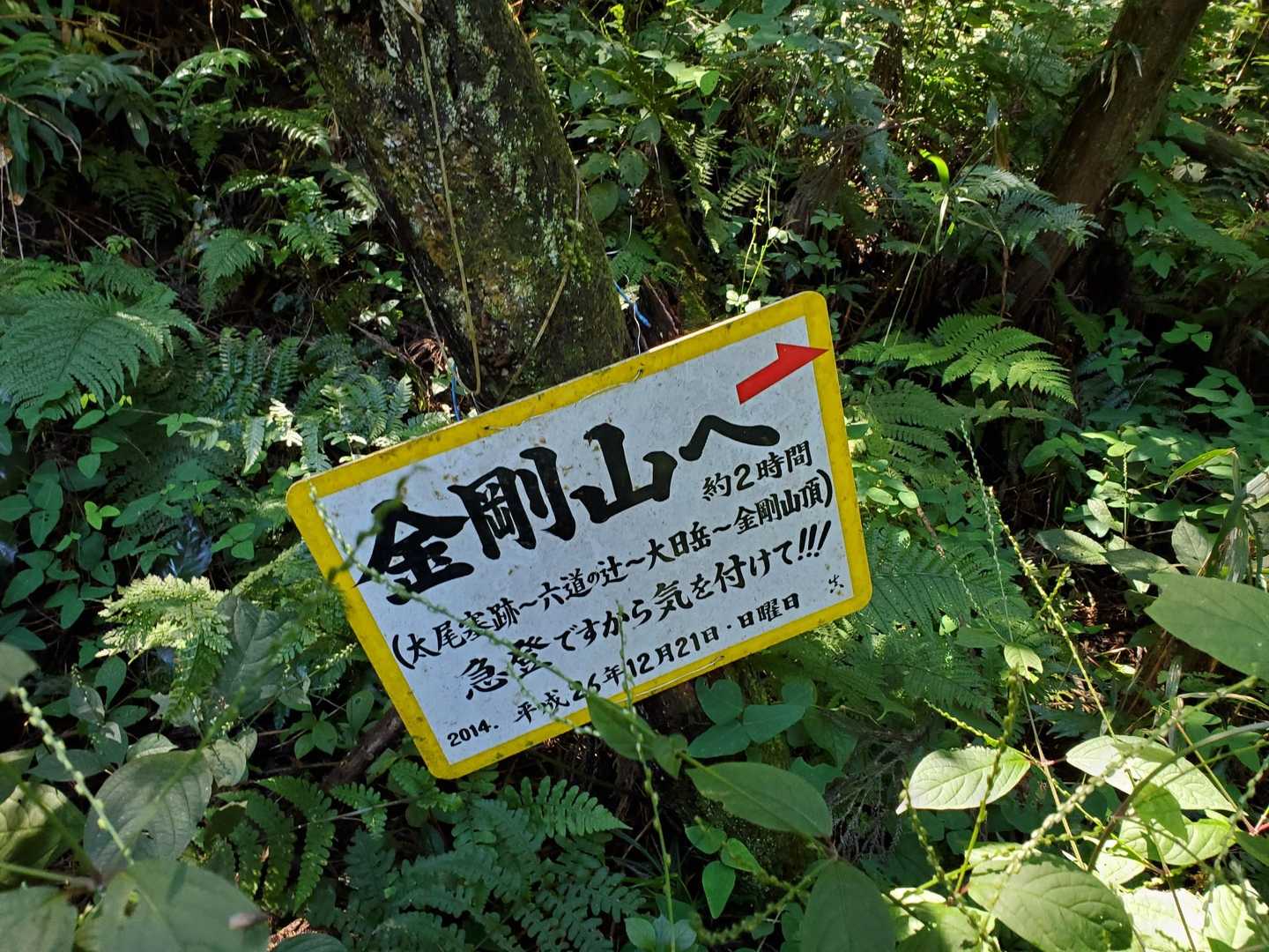 駐車場付近に出ました！ゴール🚩🙌🚩