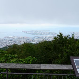ポートアイランドかな