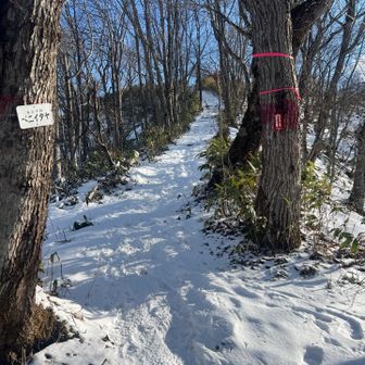 最後の坂もツボで上がれました