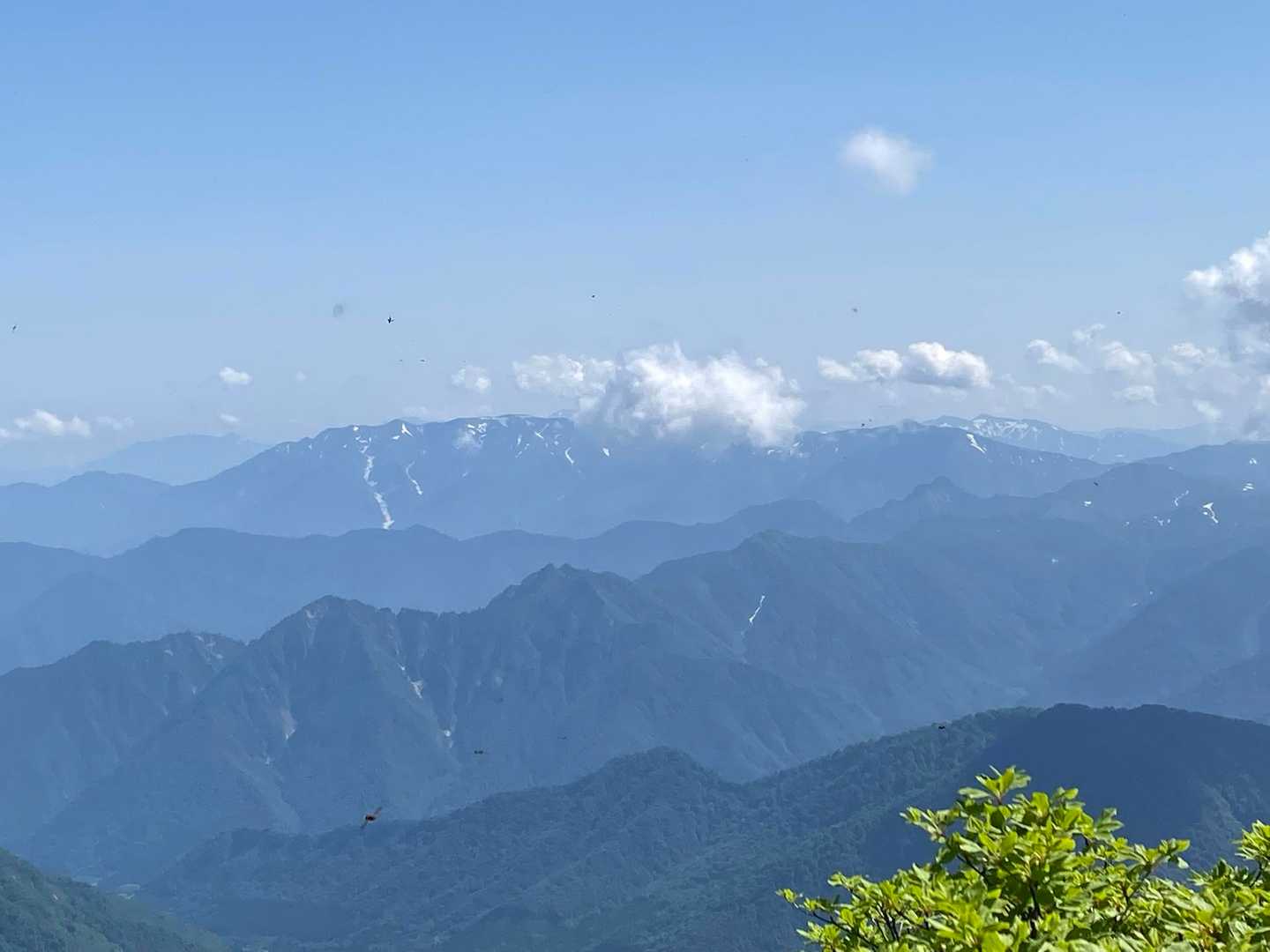 巻機山が見えました！