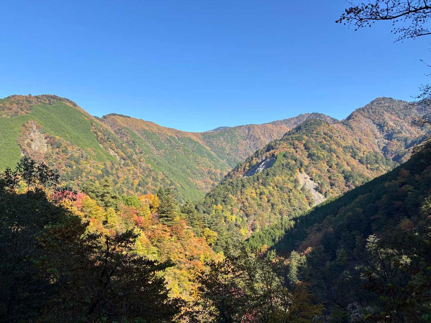 この稜線、凄くそそられます😁
追記：真ん中奥が黒沢山右に六呂場山