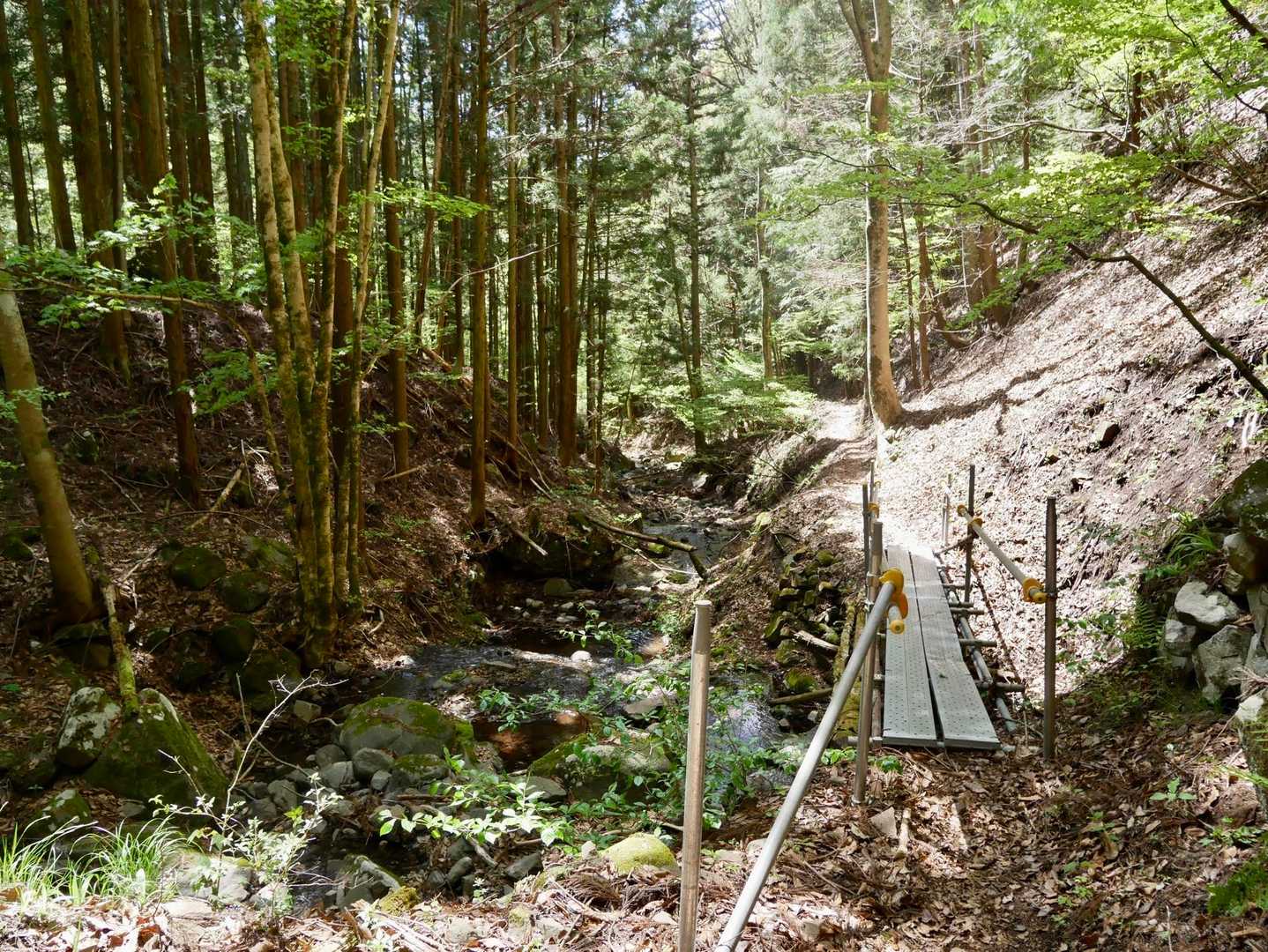 沢沿いを歩いて下山です。要害山は展望は期待できませんが森林浴最高です🙆‍♂️