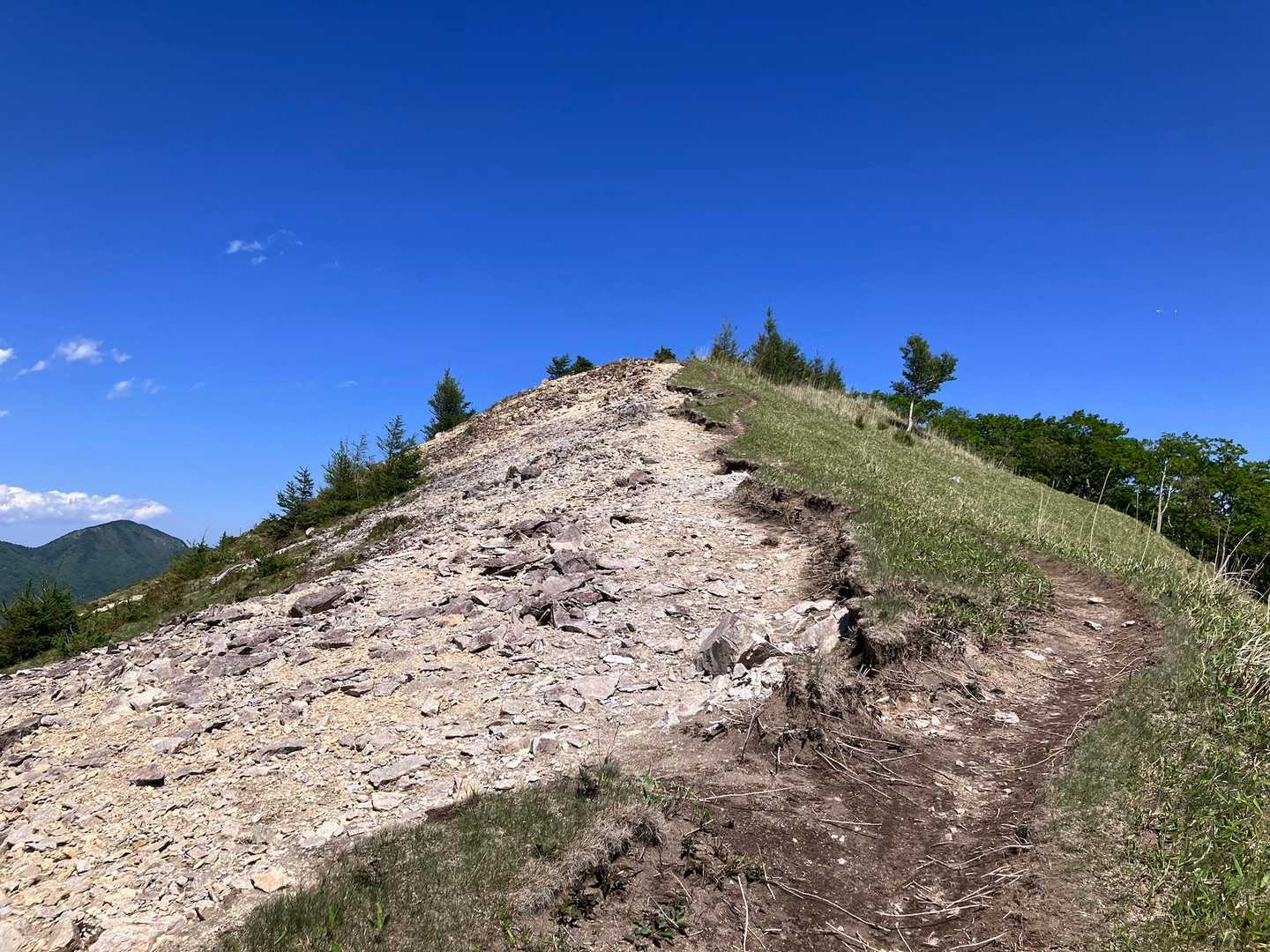 昨夜飲み過ぎて喉カラカラで足が前に進まずペースも上がらないので今日はここでギブアップ。